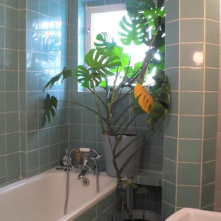 Z Widokiem Na Teatr Wielki I Ec1 公寓 *