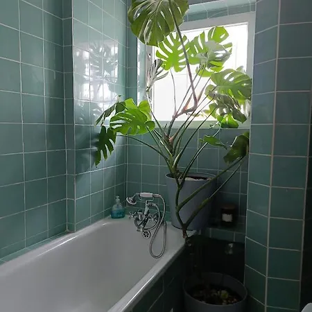 Z Widokiem Na Teatr Wielki I Ec1 *