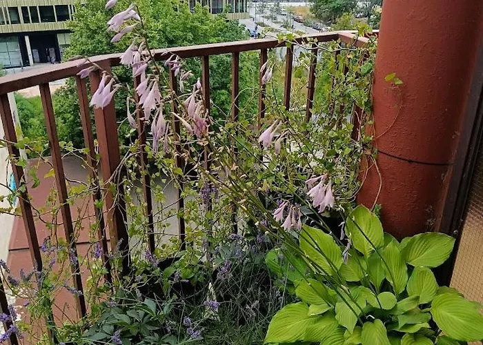 Z Widokiem Na Teatr Wielki I Ec1, Prywatny Parking Lejlighed *